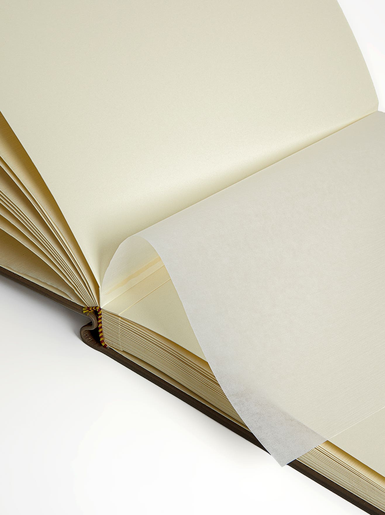 banner feature_image_3